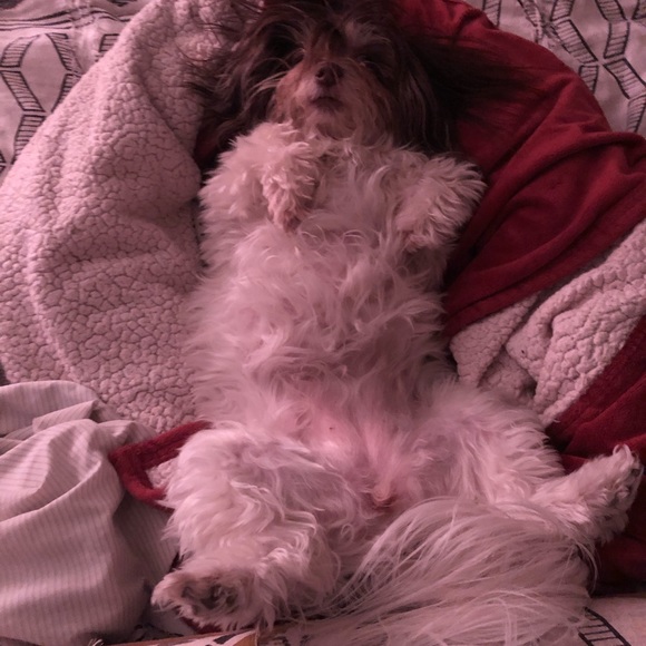 Meet your Posher, Sean - Picture 3 of 7